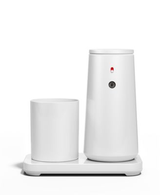 10 oz. Sensor Pump Foam with Rinse Cup