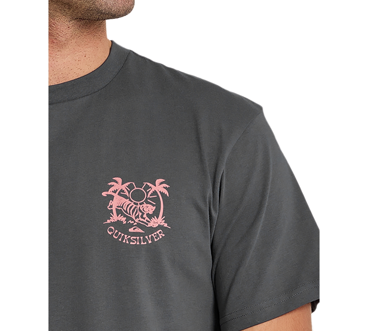 Quiksilver Men's In The Wild Short-Sleeve T-Shirt