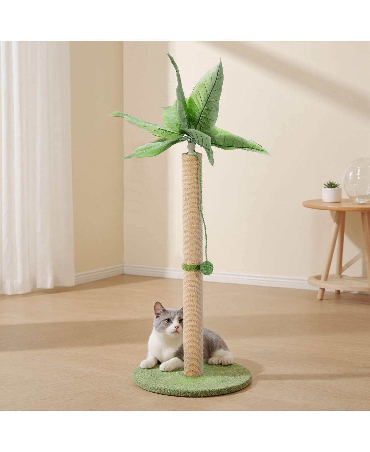 Zeus & Ruta 33" Cat Scratching Post: Tall Scratcher with Dangling Ball for Indoor Cats