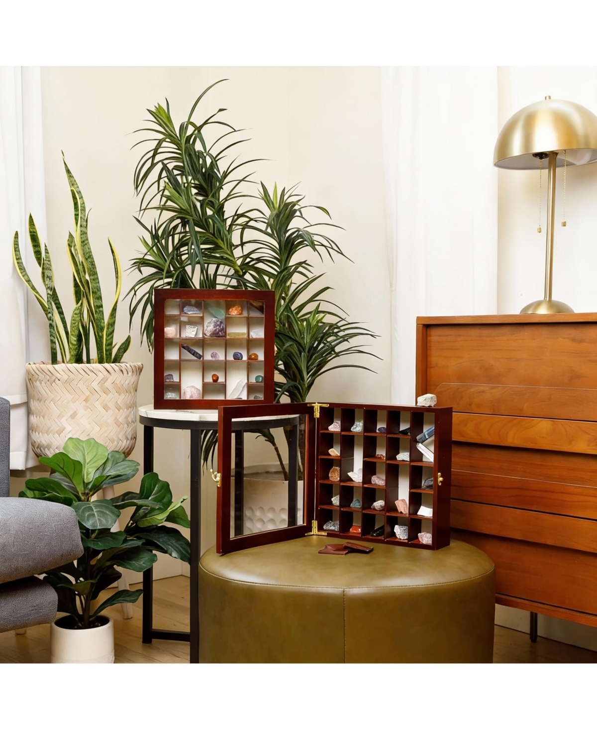 Yigii Adjustable Rock Display