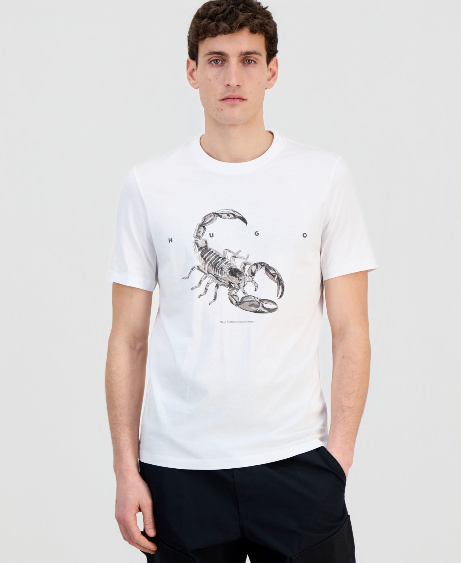 Men's Cotton Crewneck Short-Sleeve T-Shirt