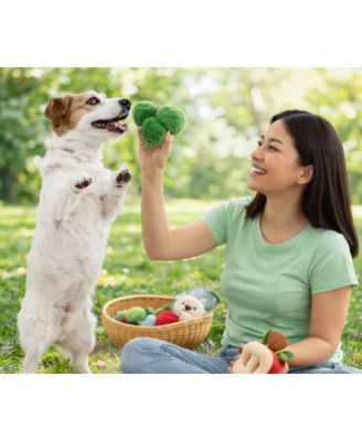 Squeaky Plush Dog Toys Set – Interactive Fruit & Vegetable Chew Toys with Built-in Squeaker for Small to Medium Dogs