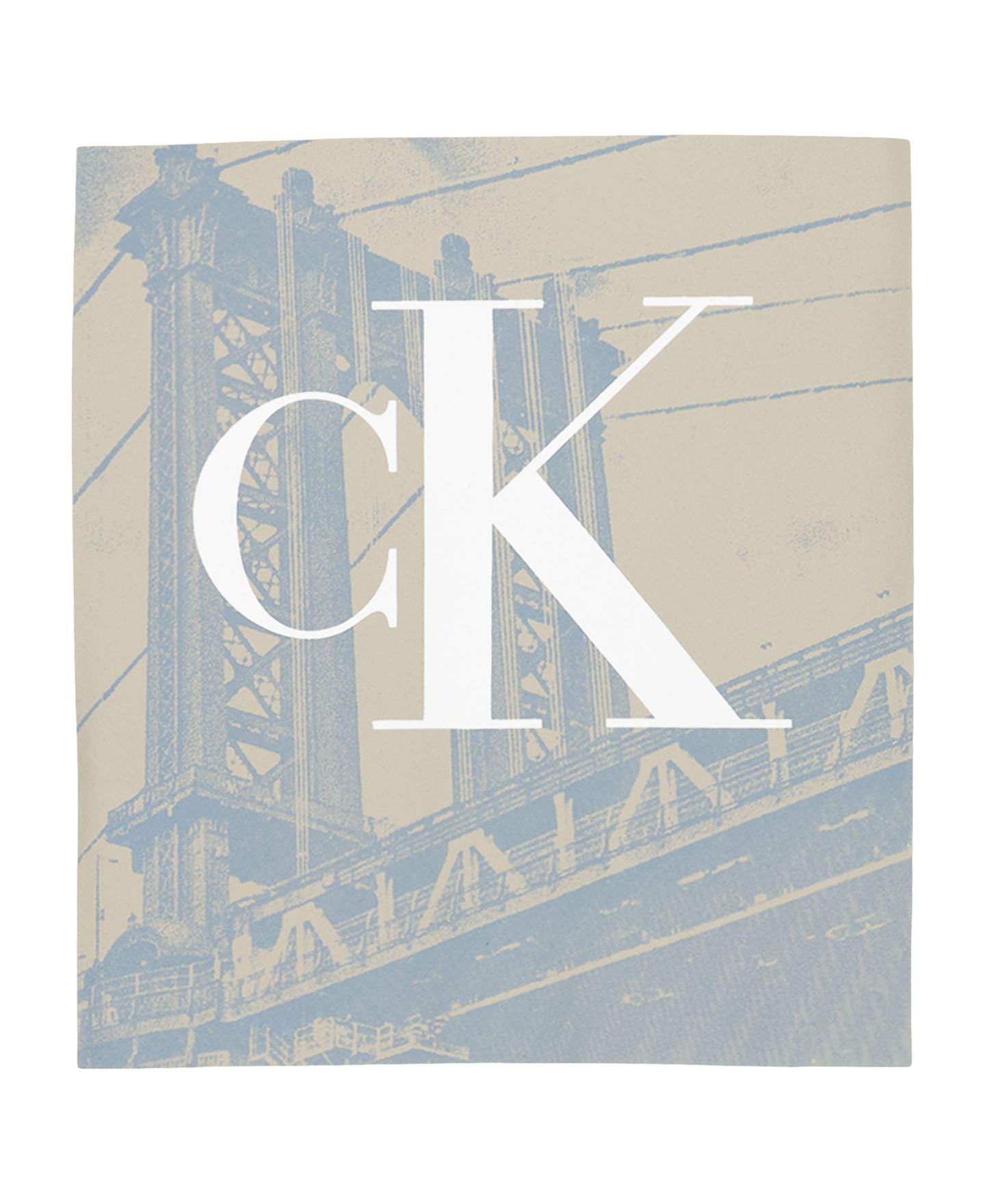 Футболка Calvin Klein Brooklyn Bridge Crewneck для мальчиков, цвет: Белый — фото 8