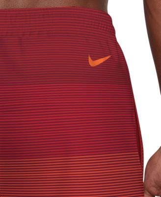Men's 9" Breaker Stripe Volley Swim Shorts