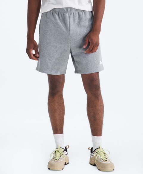 Мужские шорты The North Face Evolution Simple Dome Regular-Fit, цвет: Бледный серый