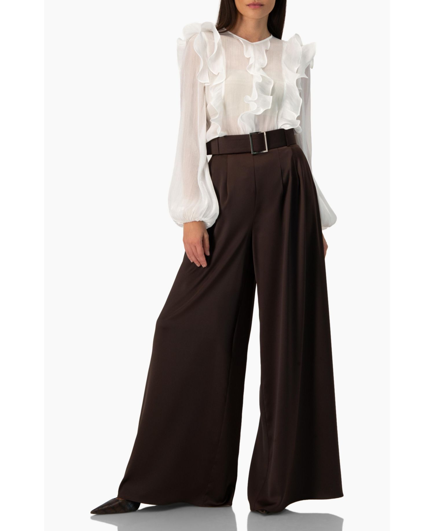 Women's Long Sleeve Sheer Blouse with Ruffle Detail