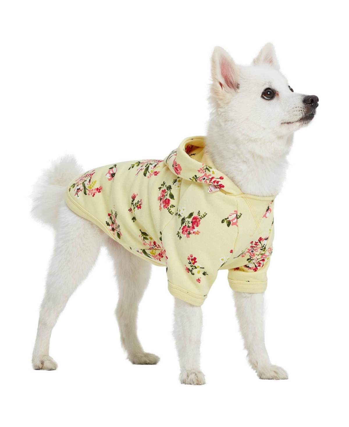 Blueberry Pet French Terry Knit English Rose Dog Sweatshirt and Hoodie