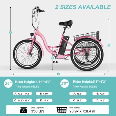 350W Electric Tricycle for Adults with 24" x 2.1" Wheels