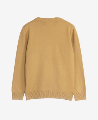 Boy's Basic V-Neck Sweater