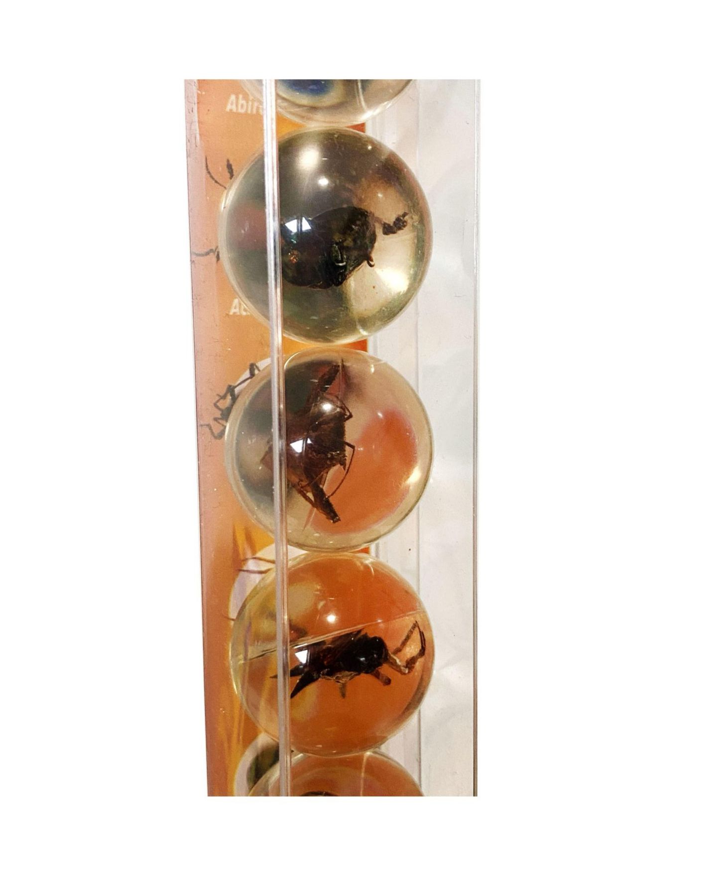 Детские игрушки Geoworld Bug Marbles, цвет: Open Miscellaneous — фото 3