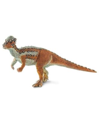 - Pachycephalosaurus
