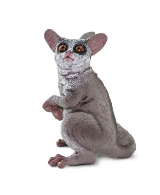 - Bush Baby
