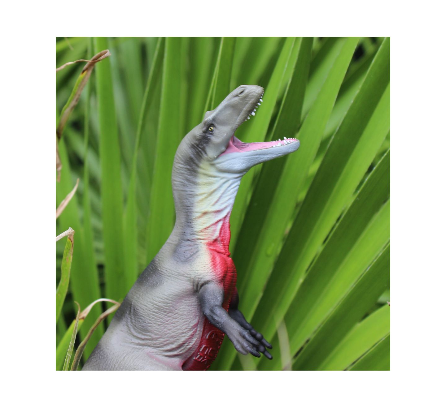 Детская фигурка Safari Ltd. Megalosaurus — фото 3