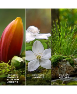 2-Pc. Daisy Wild Eau De Parfum Gift Set