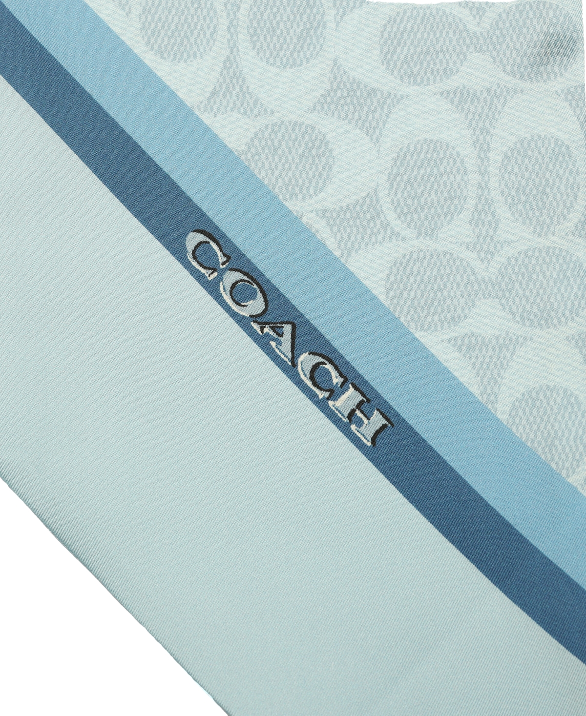 Coach Women's Stacked Tabby Printed Wide Silk Skinny Scarf