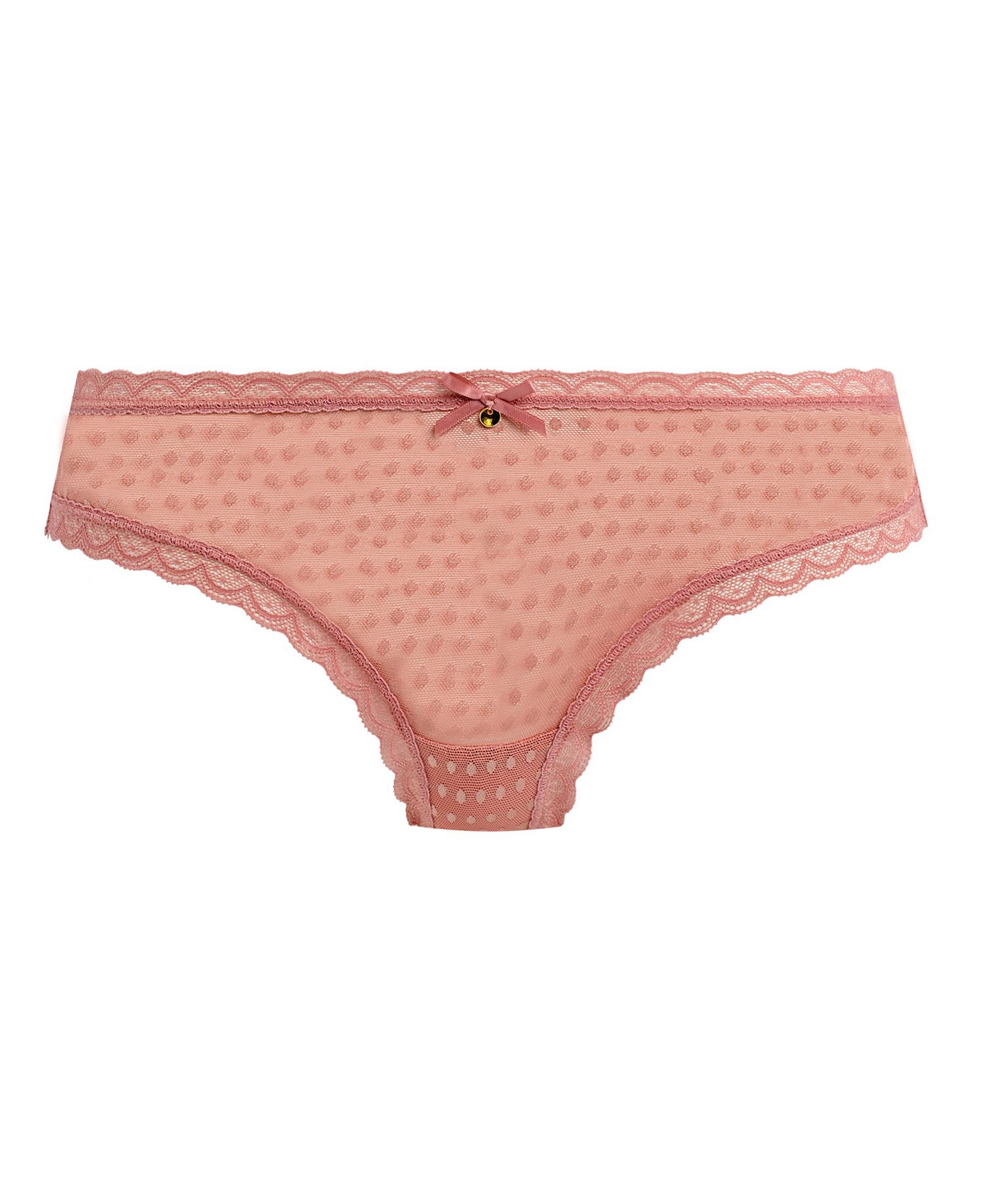 Women's Spot-Light Sheer Mesh Low-Rise Brief