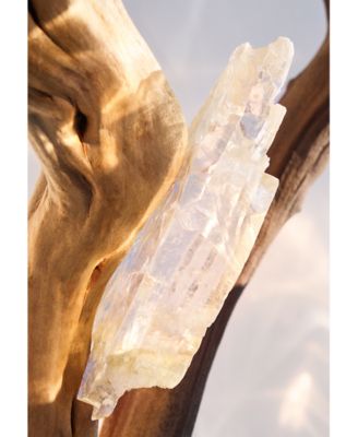 Omnia Crystalline Eau De Parfum, 1.7 oz.