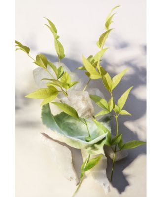 Eau Parfum&eacute;e Th&eacute; Blanc Shower Gel, 10.1 oz.