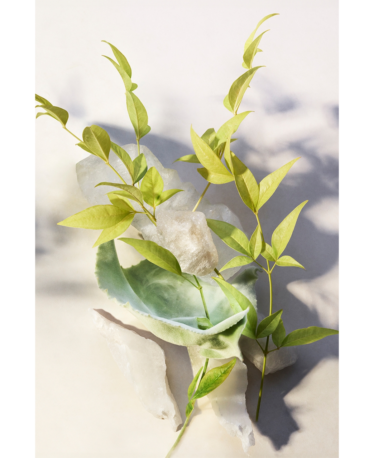 Bvlgari Eau Parfumee The Blanc Shower Gel, 10.1 oz.