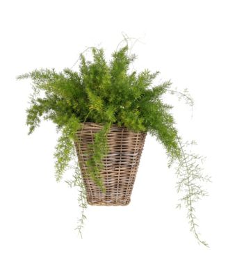 Square Tapered Planter with   Plastic Insert