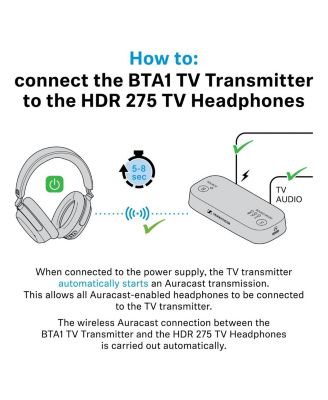 RS 275 TV Headphones