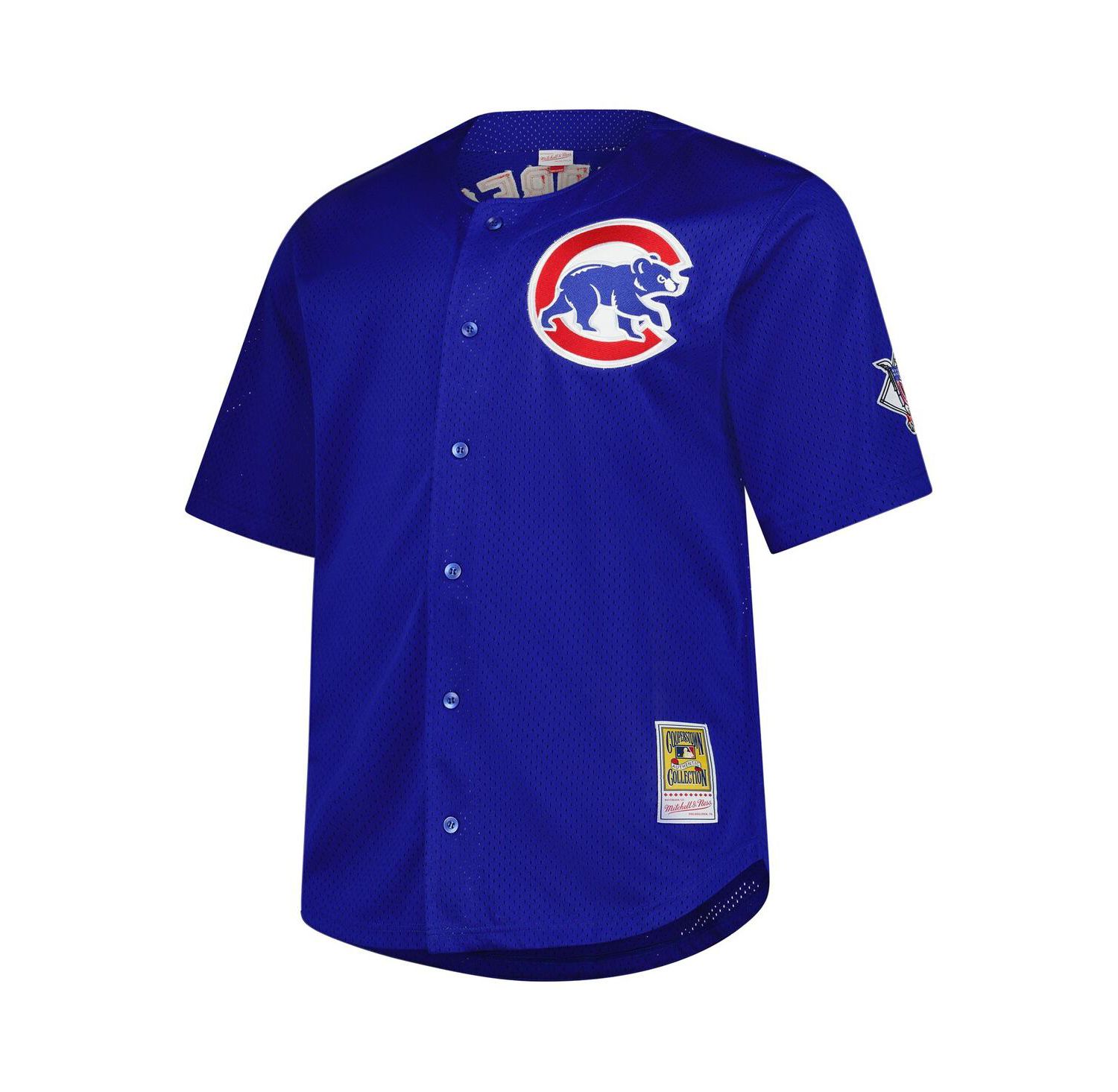 Men's Ryne Sandberg Royal Chicago Cubs Big & Tall Cooperstown Mesh Batting Practice Jersey