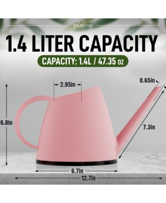 Small Watering Can with Long Slim Spout for Indoor Plants, 47oz