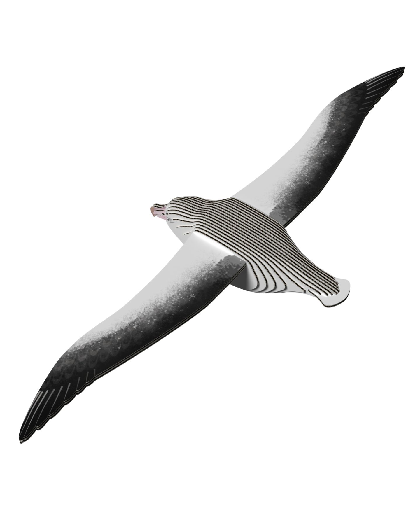 Детские конструкторы Eugy Royal Albatross 3D Puzzle — фото 3