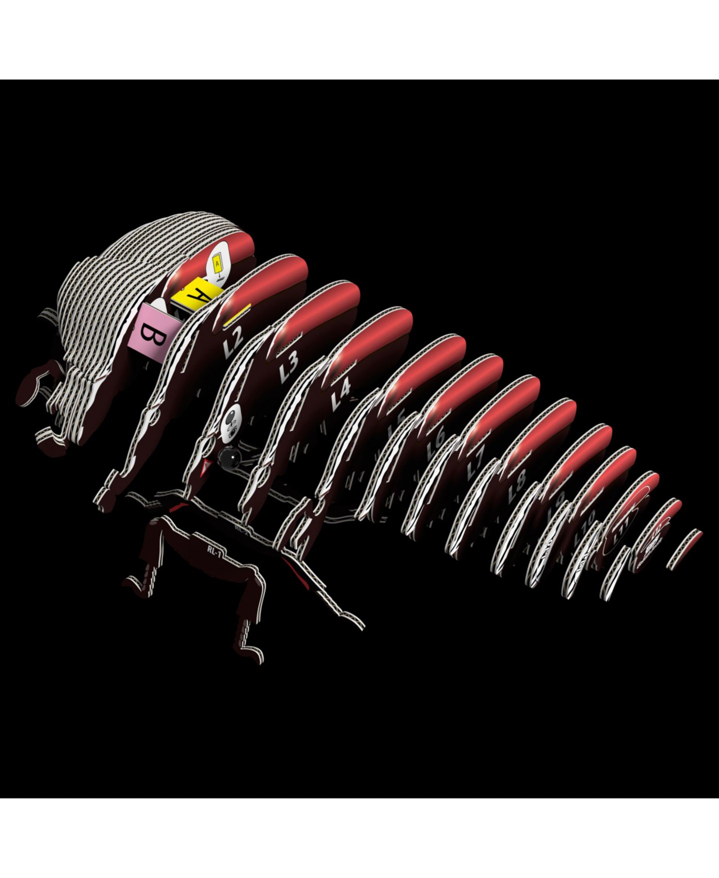Детские конструкторы Eugy Goliath Beetle 3D Puzzle — фото 2