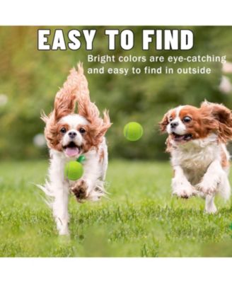 Pack of 20 Small Tennis Balls 2 Inch Size for Dogs Colorful Pet Playing Balls with Mesh Bag for Easy Transport and Interactive Play