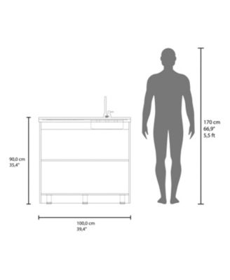 Extremo Kitchen Storage Cabinet with 2 Doors and 3 Shelves