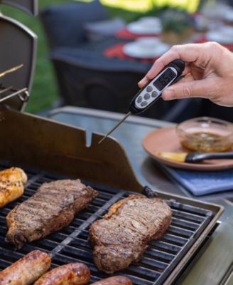 Fast Read Digital Probe Thermometer