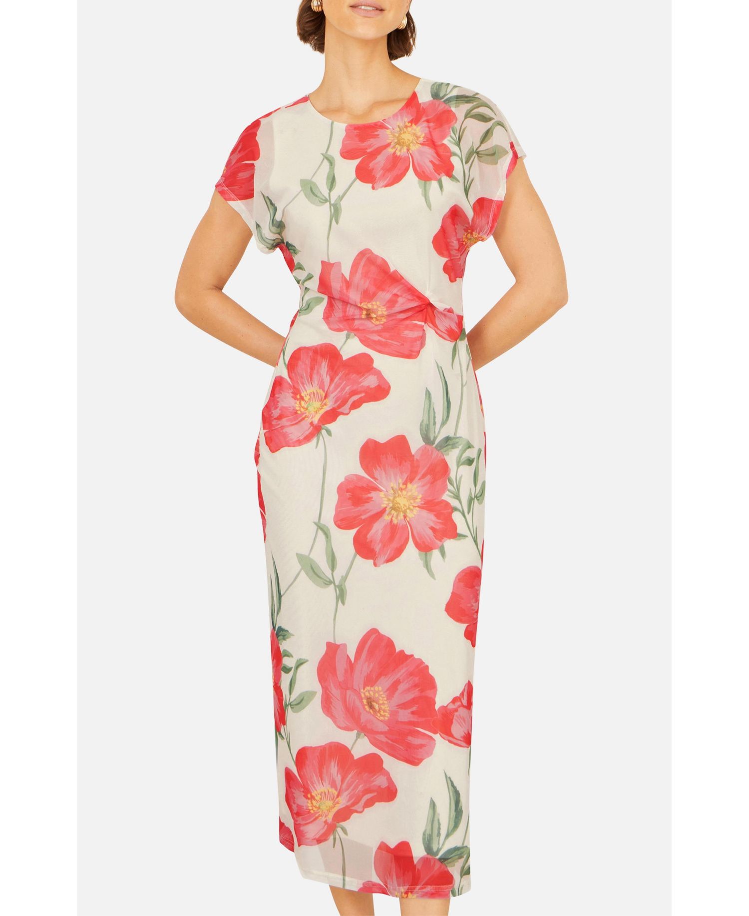 Women's Poppy Print Midi Mesh Dress