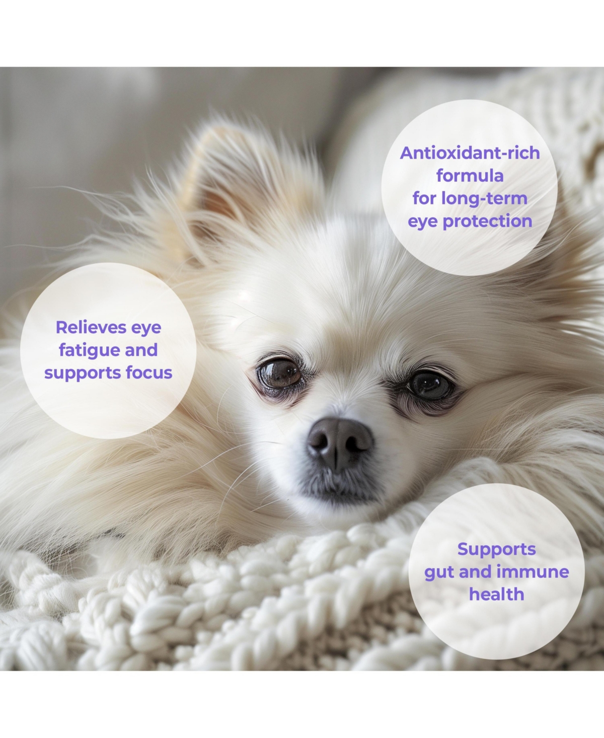 Doggy University Paw Biotics Skin and Coat Supplement for Dogs Cats