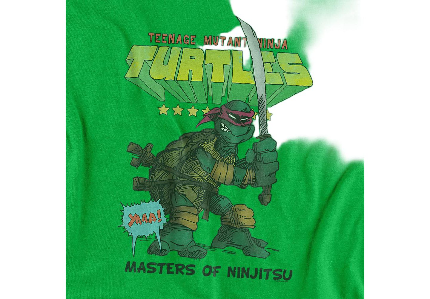 Мужская футболка Teenage Mutant Ninja Turtles Big & Tall Masters Of Ninjitsu, цвет: Зелёный — фото 3