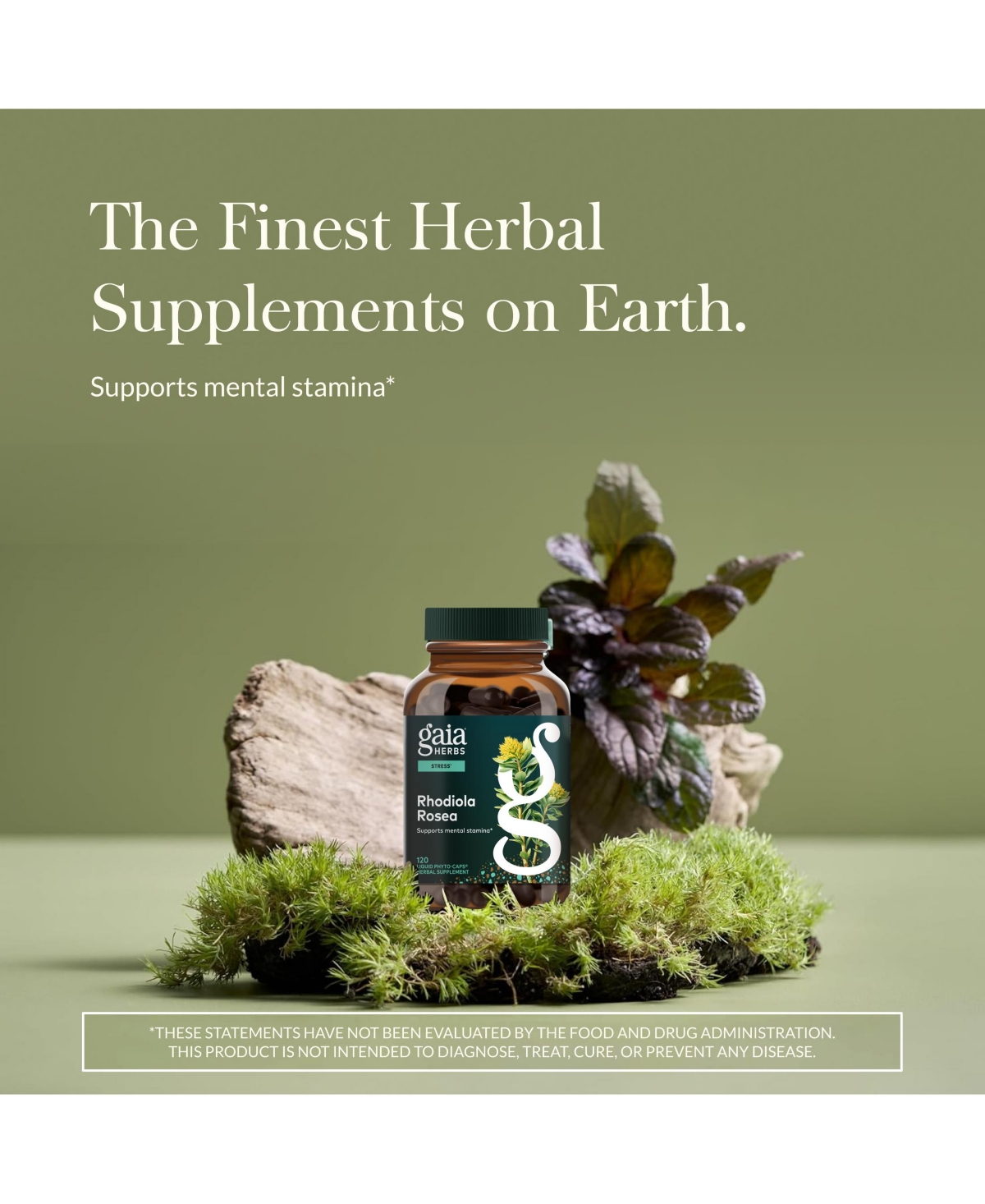 Gaia Herbs Rhodiola Rosea - Stress Support Supplement Traditionally for Supporting Healthy Stamina and Endurance