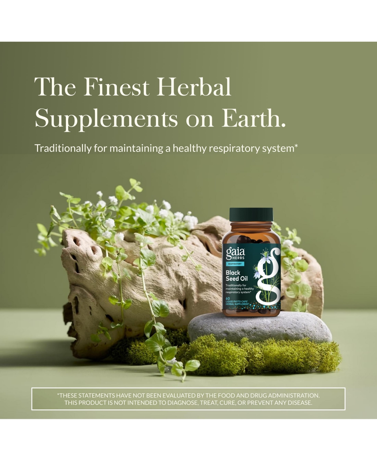 Gaia Herbs Black Seed Oil - Cold-Pressed Capsules for Lung, Respiratory, and Antioxidant Support - With Organic Nigella Seed Oil - Herbal Supplement