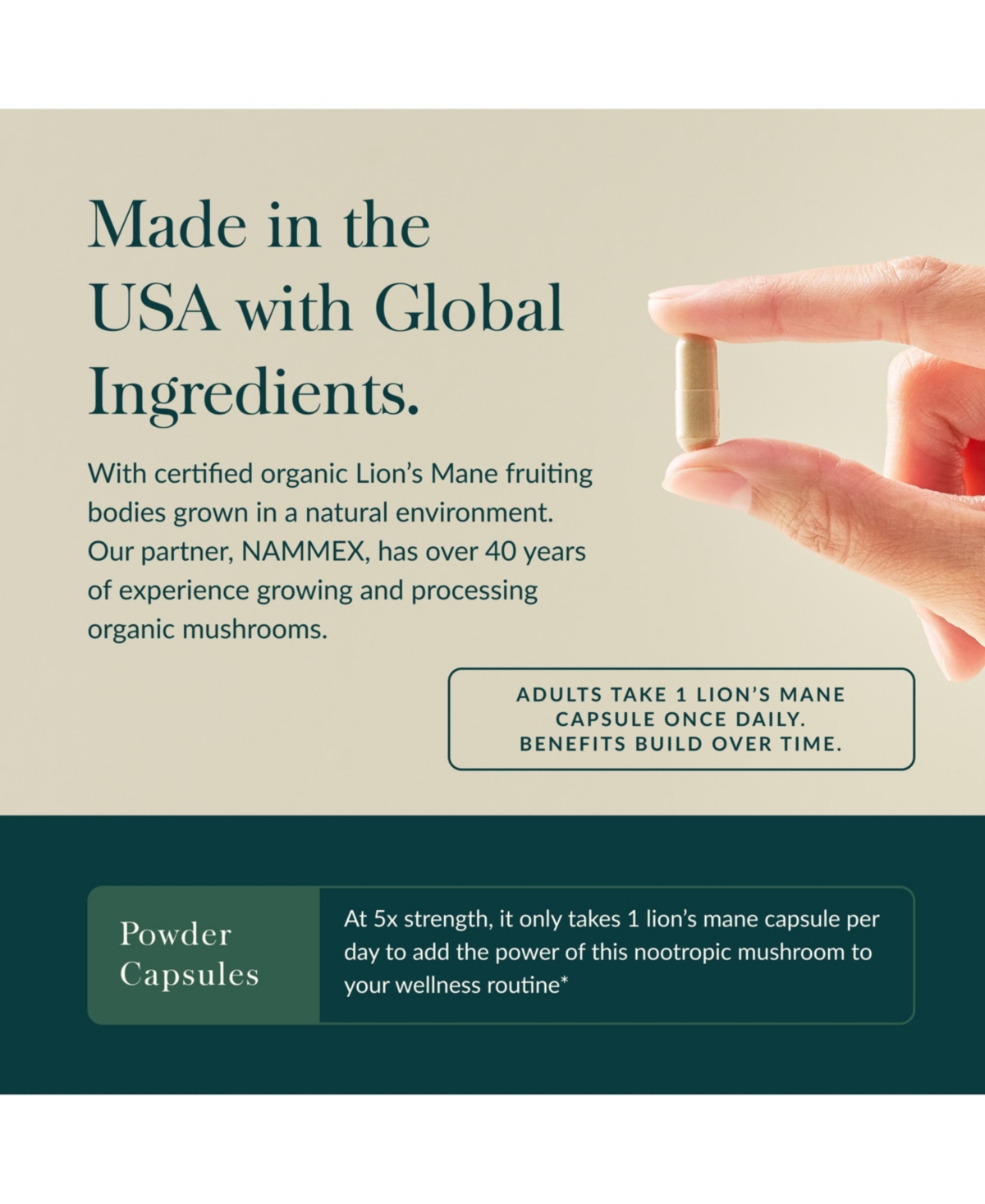 Gaia Herbs Organic Lion's Mane Mushroom - Brain and Nerve Support Supplement to Help Maintain Neurological Health