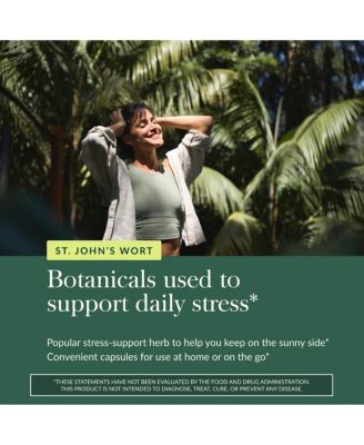 St. John's Wort - Stress Support Supplement - With St. John's Wort - 60 Capsules (60 Servings)