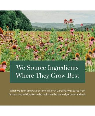 Bronchial Wellness Syrup - Help Maintain Lung Health & Help Provide Comfort for Occasional Dry Cough - 5.4 Fl Oz (Up to 32 Servings)