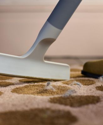 Cleantech 2-in-1 Carpet Cleaning Tool