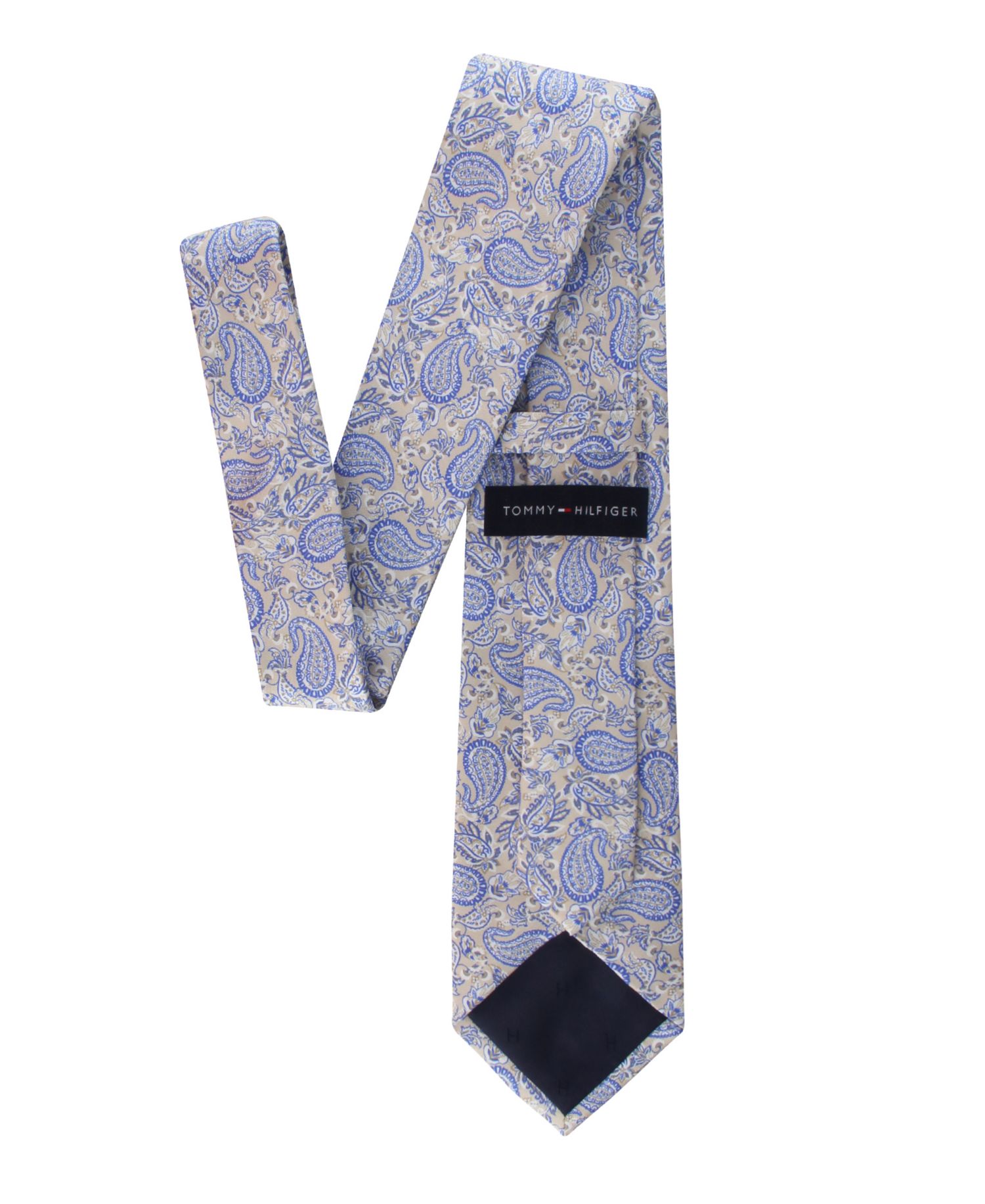 Men's Ramsey Paisley Silk Tie
