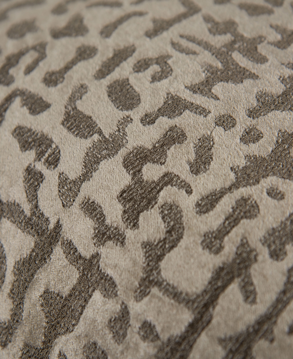 Rizzy Home Rowan Velvet Decorative Pillow, 22" x 22"