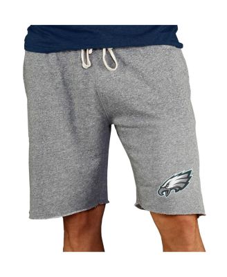 Men's Gray Philadelphia Eagles Mainstream Terry Shorts