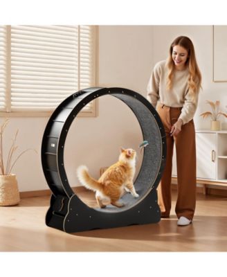 48" Wooden Cat Exercise Wheel with Carpeted Runway and Locking Mechanism