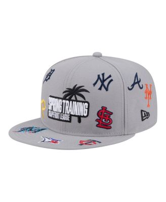 Men's Gray 2026 Spring Training Grapefruit League Scattered 9FIFTY Adjustable Hat