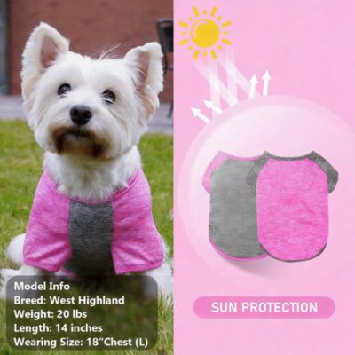 ARONKL - 2-Pack Lightweight Athletic Dog T-Shirt with Reflective Label for Outdoor Use Rose grey