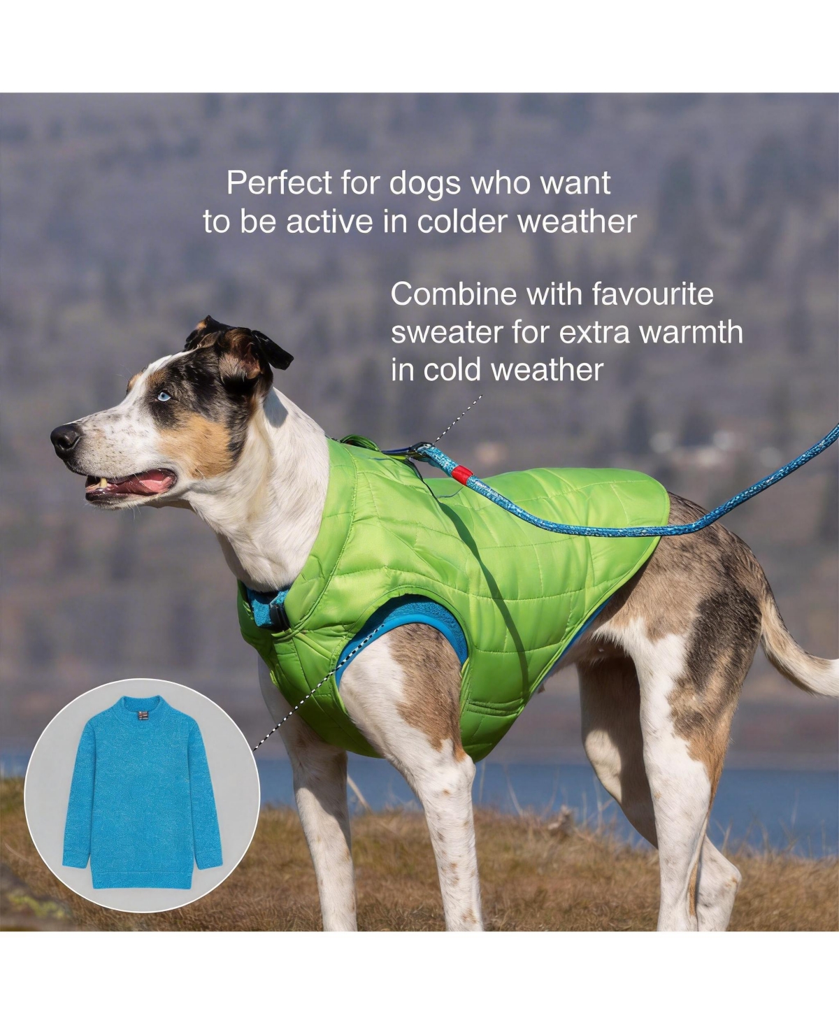 Aronkl Loft Dog Jacket: Insulated, Reversible, Water-Resistant, Reflective