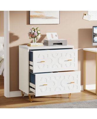 2-Drawer Lateral File Cabinet for Legal/Letter/A4 Size - Large Storage Filing Cabinet Printer Stand for Home Office