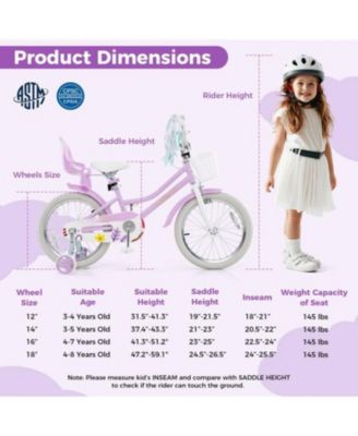 Girls Bike with Doll Seat and Streamers